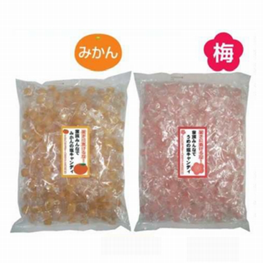 みかん塩飴＆梅塩飴（みかん320粒×5袋・梅320粒×5袋）