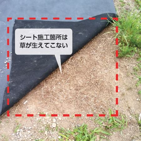Sg防草シートv 1ｍ 50m 新江州 業務用建材 建築資材の通販サイト ソニテック