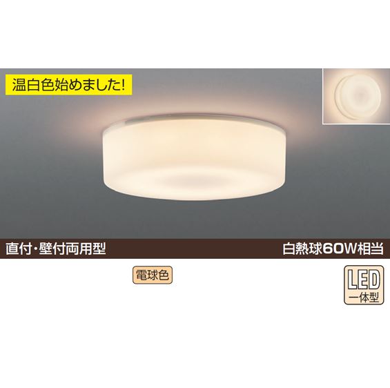 薄型シーリング 直付・壁付両用型 出幅30mm 白色塗装