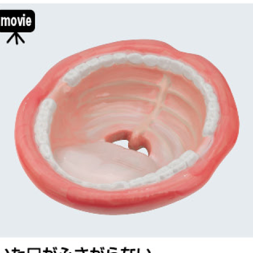 【廃番商品】開いた口がふさがらない