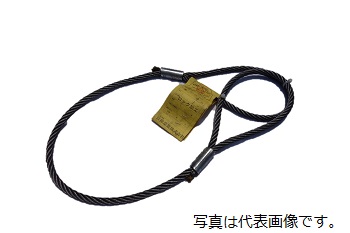 ワイヤーロープロックタイプ φ6