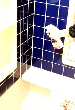 カビでないスプレー 250ml