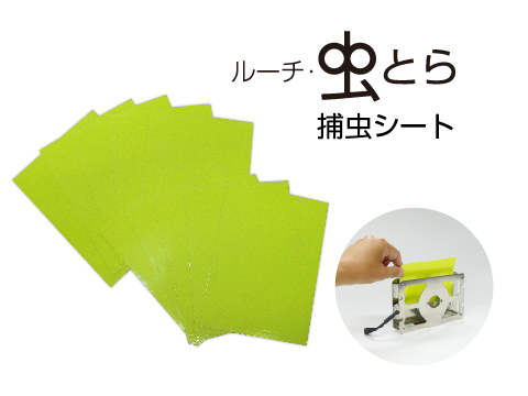 虫とら捕虫シートA(10枚入り) LMT-S-A