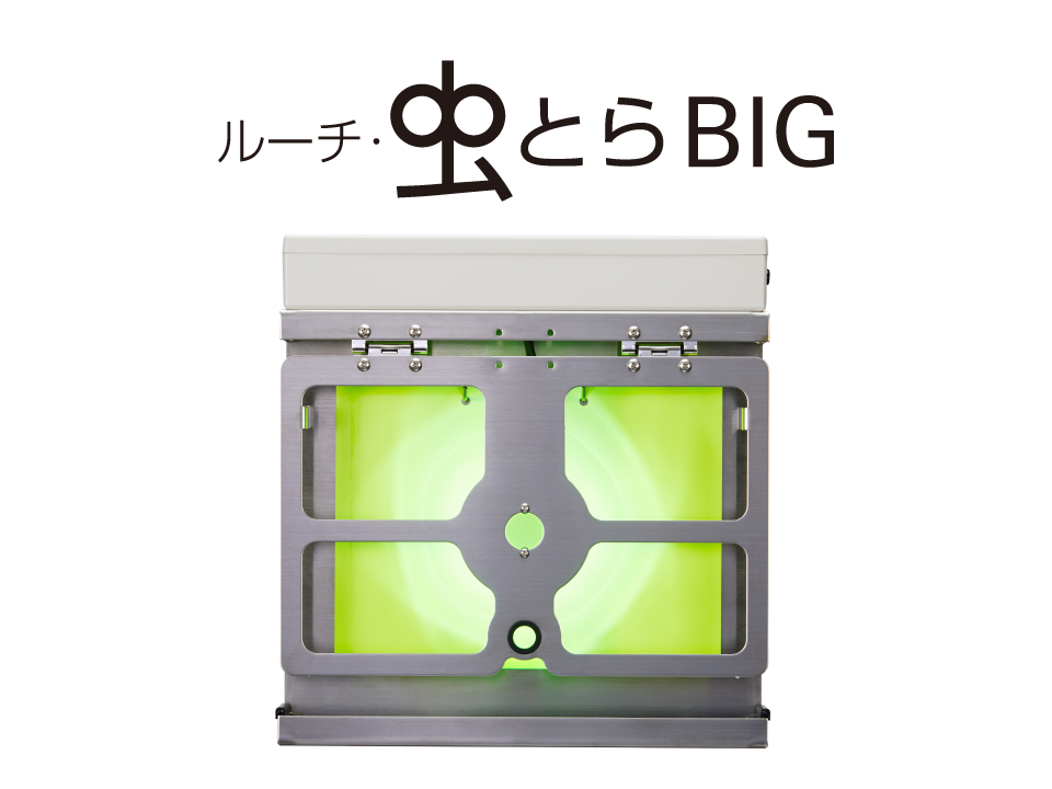 ルーチ・虫とらハクBIGセット　LMT-CC-B
