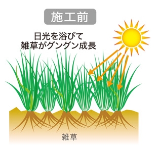 防草シート グラスガード 幅1/2m×長さ50m KWS-100/200GR ブラック/グリーン