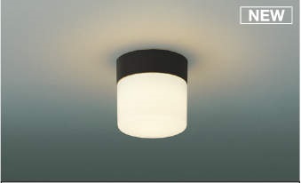 勝手口灯 電球色 60W相当
